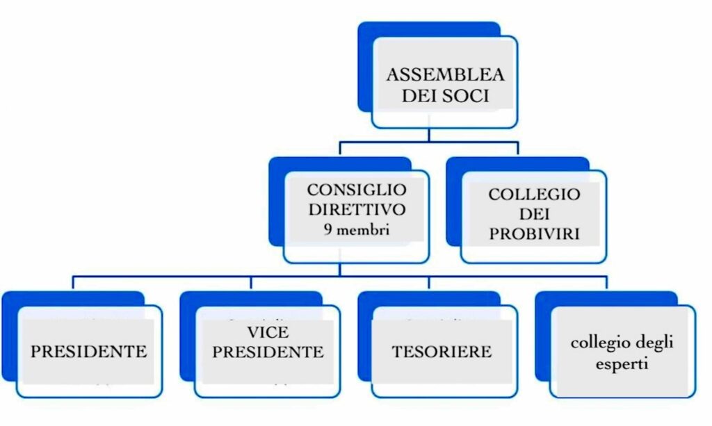 NUOVI ORGANI SOCIALI